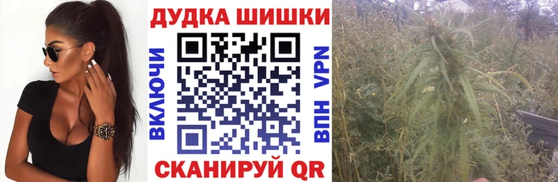 Конопля LSD WEED  купить наркоту  это наркотические препараты  Будённовск  блэк спрут ТОР 